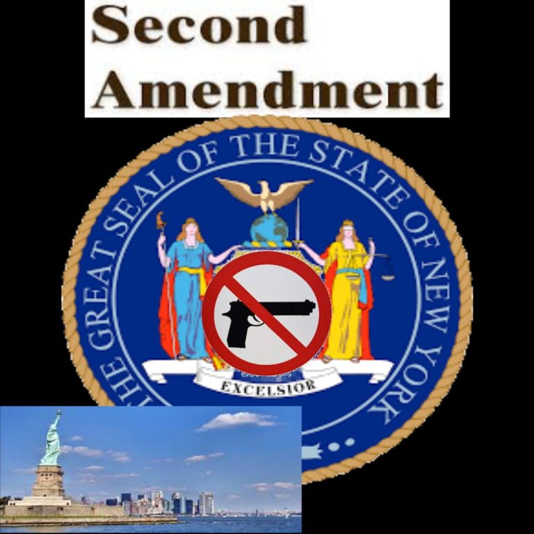Read more about the article New NYC Bill Requires Gun Owners To Give Up Social Media Passwords And Internet History