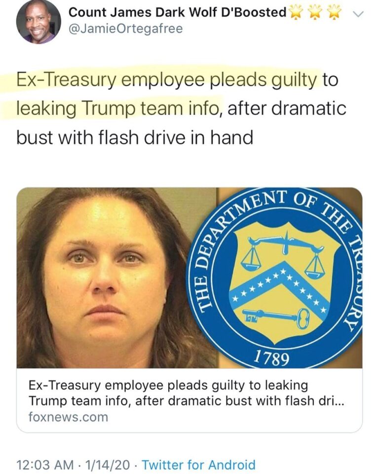 Read more about the article Ex-Treasury employee pleads guilty to leaking Trump team info, after dramatic bust with flash drive in hand