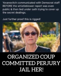 Read more about the article Sick and tired of the two tiered justice system. 
1. Yovanovich lied under oath …