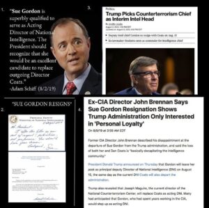 Read more about the article This is a temper tantrum by the deep state. Sue Gordon was their last hope. Trum…