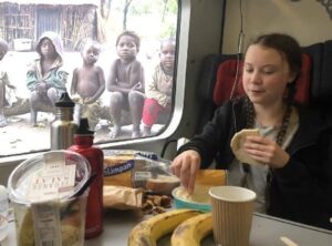 Read more about the article DEMON CHILD @gretathunberg…