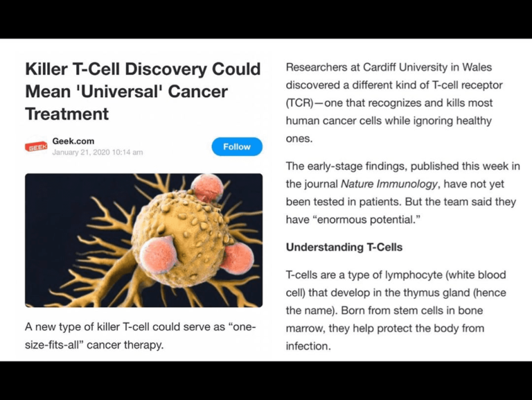Read more about the article Killer T-Cell discovery Could “Universal” Cancer Treatment