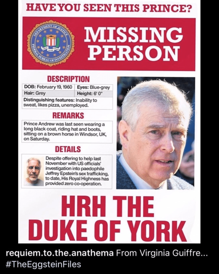 Read more about the article HAVE YOU SEEN THIS PRINCE?  MISSING PERSON REPORT