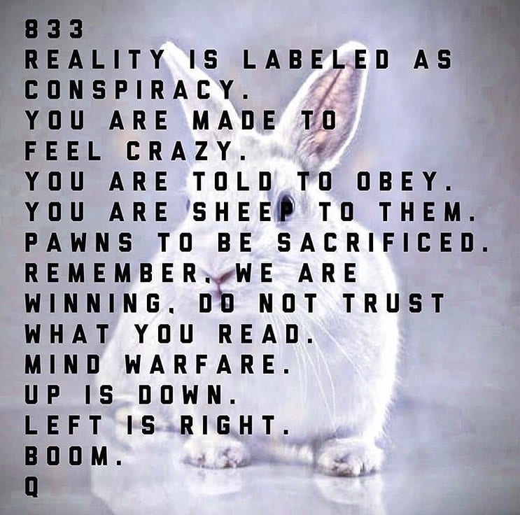 Read more about the article 833 – Reality Is Labeled As Conspiracy