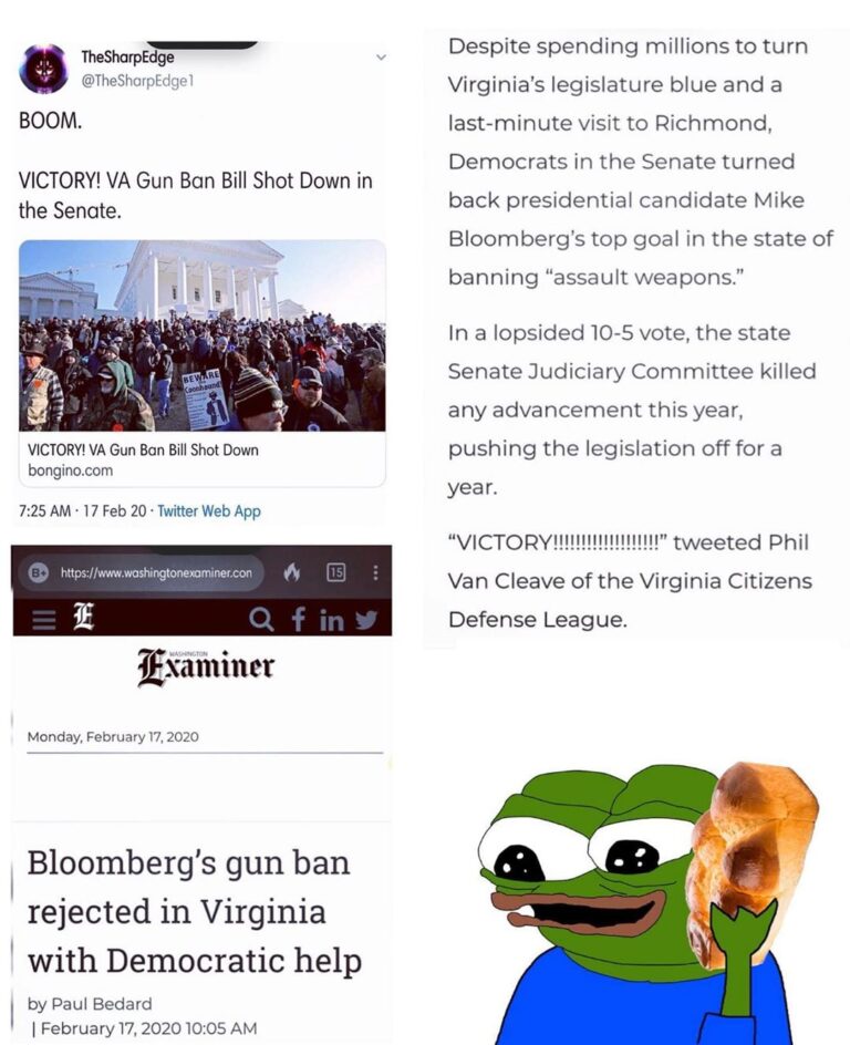 Read more about the article Virginia Gun Ban Bill Shut Down In Senate