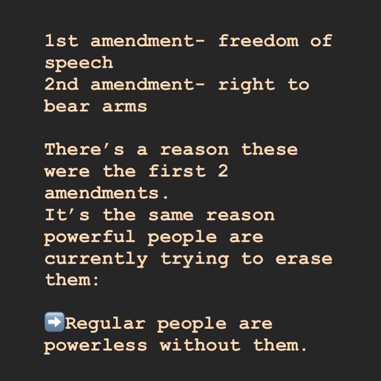 You are currently viewing 1st Amendment- Freedom of Speech
2nd Amendment- Right to Bear Arms
_
There’s a r…