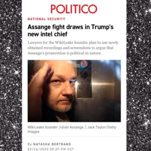 Read more about the article Assange Fight Draws In Trump’s New Intel Chief