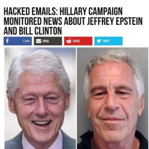 Read more about the article I wonder why they monitored the news for a connection between Epstein and Bill C…