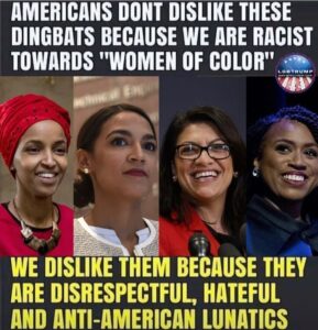 Read more about the article Repost @lgbtrump45 THIS IS THE TRUTH @ilhanmn @ocasio2018 @rashidatlaib @repayan…