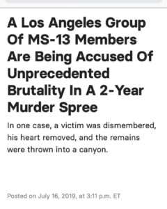 Read more about the article BREAKING: 22 MS-13 Gang Members charged with murder. Of the 22 members, 19 of th…