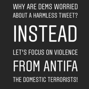Read more about the article DO YOUR JOB @dhshov @fbi ! They need to be CONDEMNED. @realdonaldtrump @vp @lind…