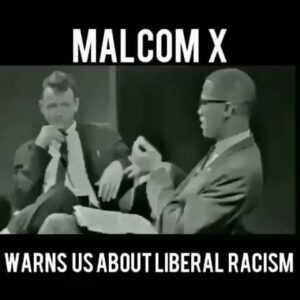 Read more about the article Videos they don’t want you to SEE – who are The Real Racists?? ITS CRYSTAL CLEAR…