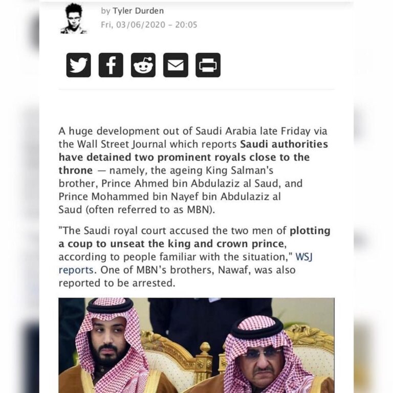 Read more about the article BREAKING: “Saudi Authorities Have Detained Two Prominent Royals Close To The Throne”