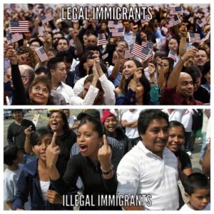 Read more about the article Entering our country illegally is a criminal act and a slap in the face to Ameri…