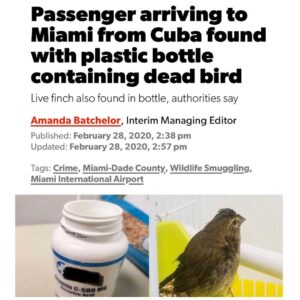 Read more about the article TMB Update: I can’t think of many reasons you would want to smuggle a finch into America. The timing is rather peculiar. Now CV has supposedly found its way into google, and is now causing a drug shortage of a drug which “could not be named or its manufacturer.” This should be good.
#TheGreatAwakening 2020-02-29 02:45:07