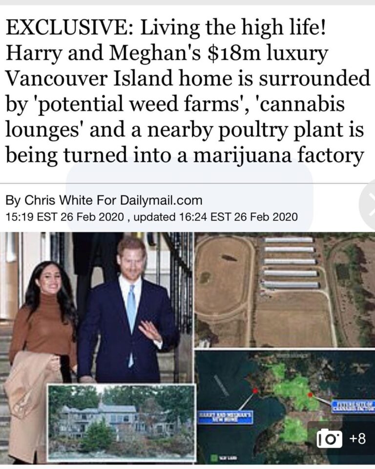 Read more about the article TMB Update: Is that right?
The Habz.
#TheGreatAwakening 2020-02-27 14:04:33