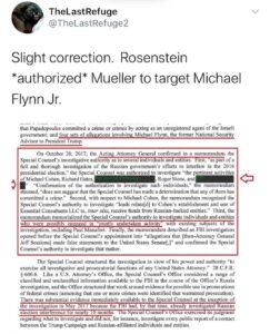 Read more about the article Rosenstein *authorized* Mueller to target Michael Flynn Jr.