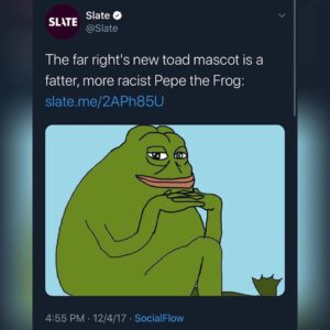 Read more about the article Slate: The far right’s new toad mascot is a fatter, more racist Pepe the Frog:
-…
