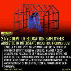 Read more about the article Teams of ATF agents and NYPD officers made several arrests of alleged Bully Stre…