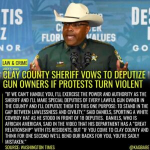 Read more about the article A Florida sheriff says he will deputize every gun owner in his county to put dow…