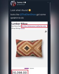 Read more about the article Some of these have gone too far, even I have a few $10,000 throw pillows on my c…