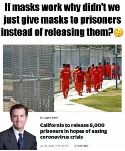 Read more about the article Solution: If masks work why didn’t we just give masks to prisoners instead of re…