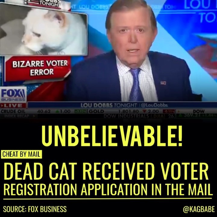 You are currently viewing BREAKING: Georgia Couple receives voter registration form for their CAT who died…