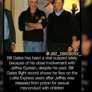 Read more about the article Bill Gates has Flown on the Lolita Express with Epstein