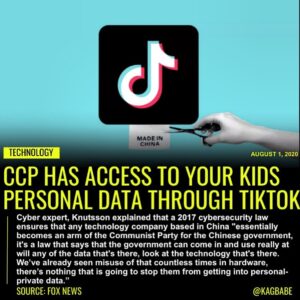 Read more about the article TikTok has become wildly popular in the last few years, especially with teenager…