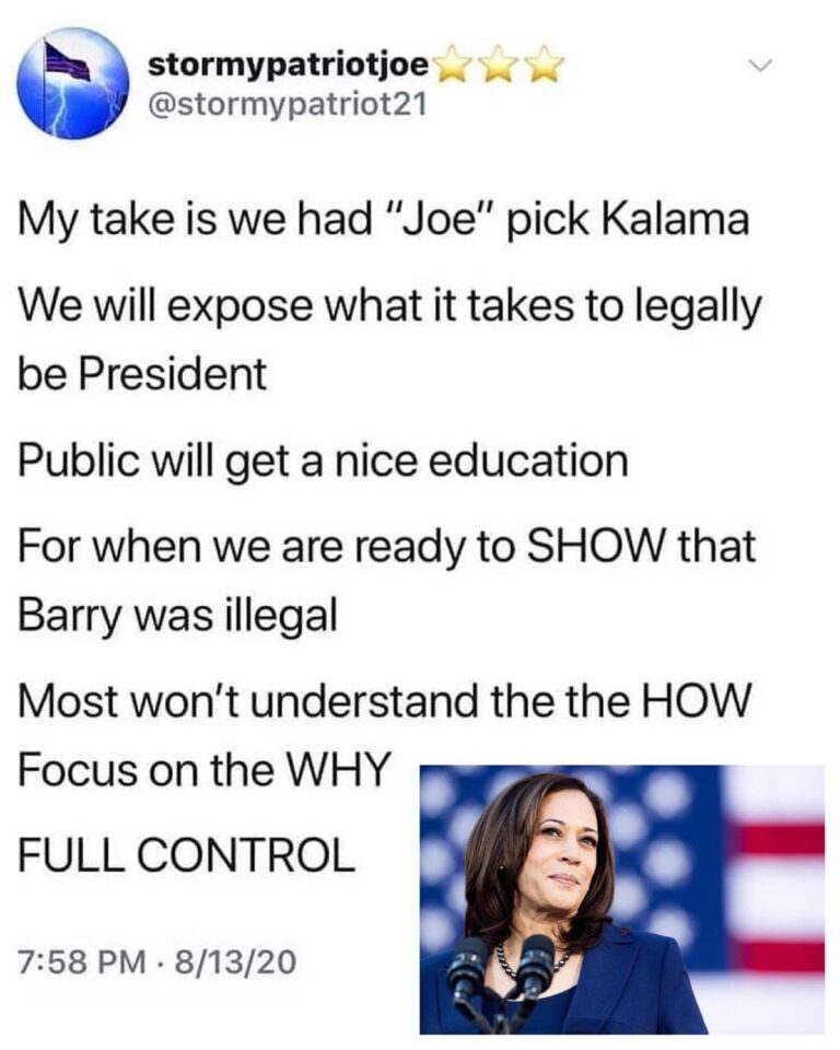 Read more about the article X22 Report covered this last night. Kamala Harris is constitutionally ineligible…