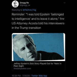 Read more about the article As we all suspected, Epstein was an intelligence asset, this was a BLACKMAIL OPE…
