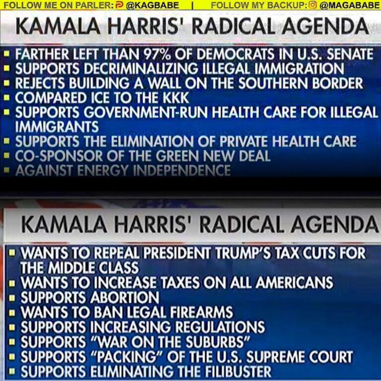 Read more about the article Kamala Harris’ Policies & Positions -…