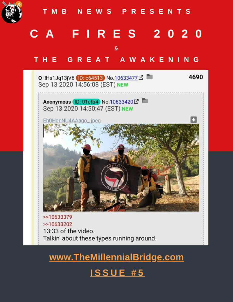 Read more about the article CA Fires 2020 & The Great Awakening Issue #5