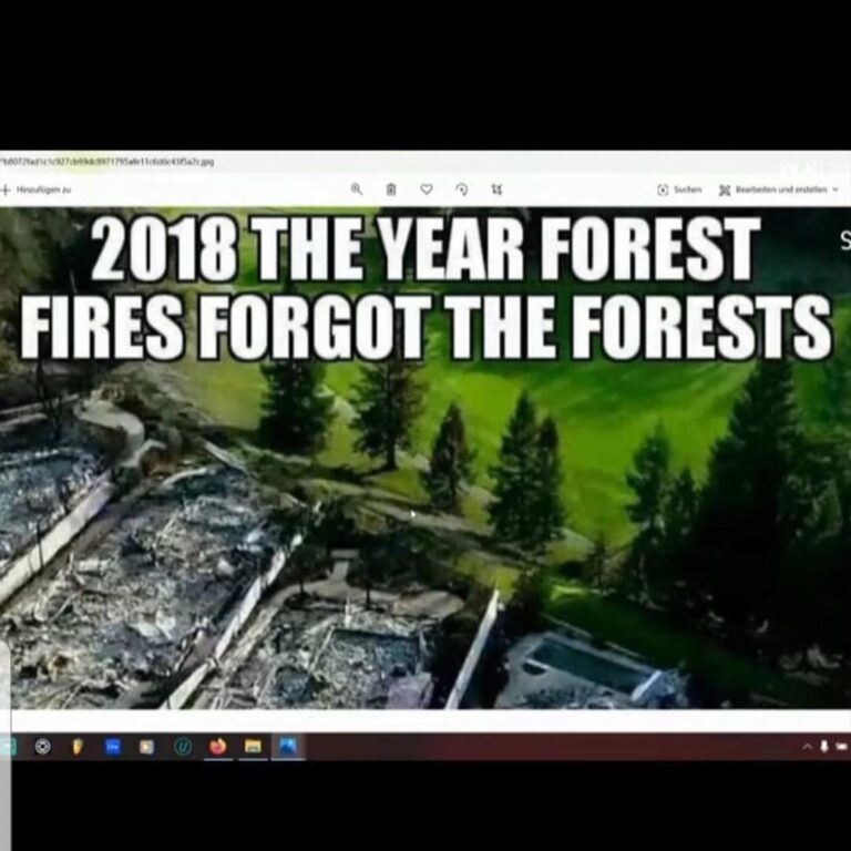 Read more about the article 2018 “Forest Fire” Direct Energy Weapons