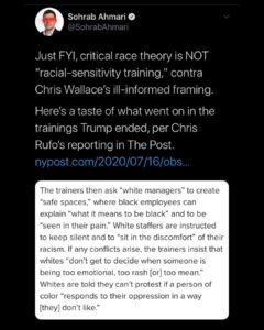 Read more about the article (((Wallace))) would be ill informed on critical race theory.