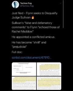 Read more about the article New Flynn Filings
