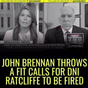 Read more about the article PANIC IN DC!!
John Brennan just now on MSDNC looking very uptight & demanding J
