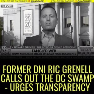 Read more about the article Former DNI  calls out the DC Swamp – urges transparency.
“Info from career intel