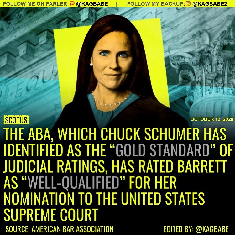 The American Bar Association, known for rating judicial appointments