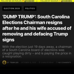 Read more about the article BREAKING NEWS: the Chairman of Elections in South Carolina CAUGHT DEFACING TRUMP
