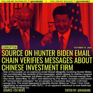 Read more about the article One of the people on an explosive email thread allegedly involving Hunter Biden