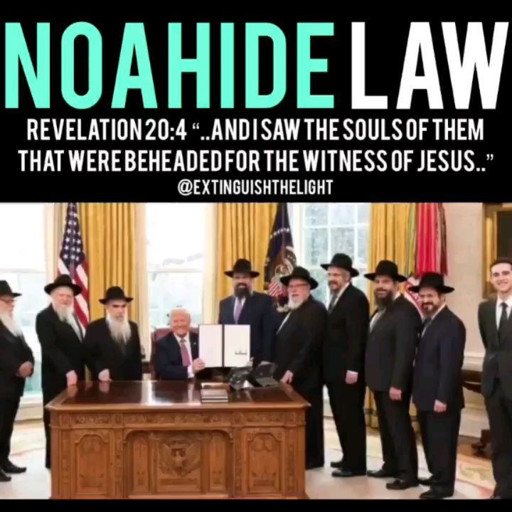 Read more about the article Noahide Law