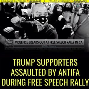 Read more about the article Trump supporters, , including  were at a free speech really in California & as a