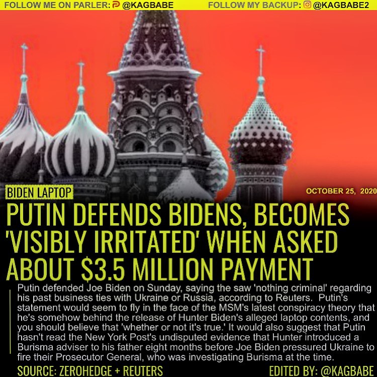 Read more about the article Russian President Vladimir Putin defended Hunter Biden on Sunday, saying the saw