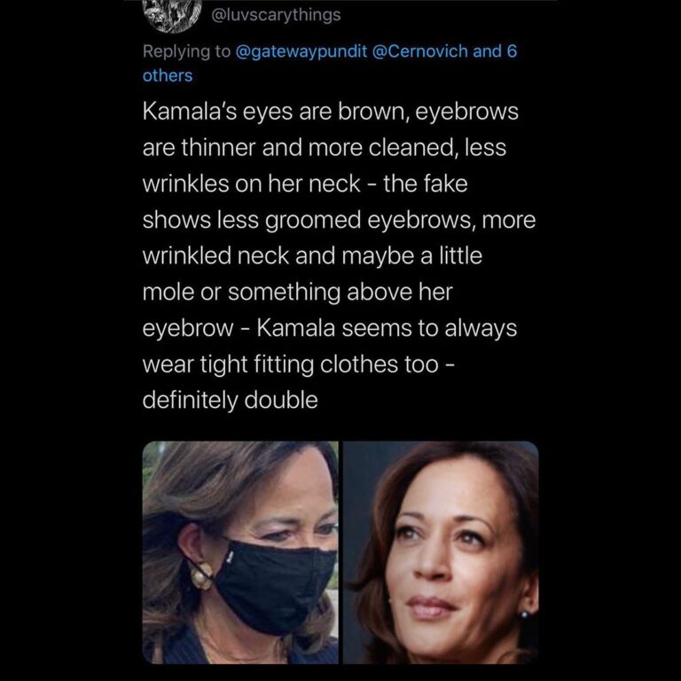 Read more about the article Is the Left using body doubles? Did Laura Loomer discover a fake Kamala Harris?