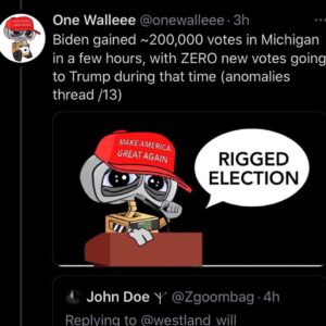 RIGGED ELECTION Anomalies Thread 1/3