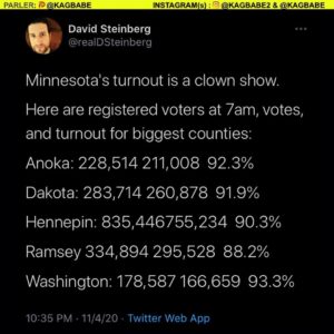 Read more about the article MINNESOTA  
Minnesotans  who didn’t vote can quickly check here to see if a mail