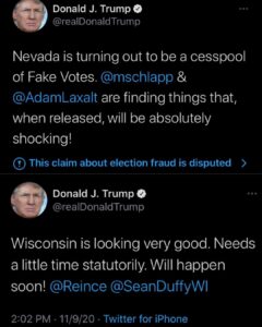 Read more about the article Nevada is turning out to be a cesspool of Fake Votes.