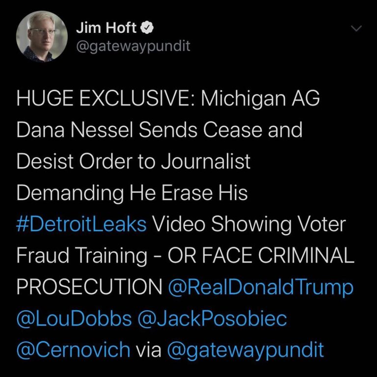 Read more about the article HUGE EXCLUSIVE: Michigan AG Dana Nessel Sends Cease and Desist Order to Journalist Demanding He Erase His Detroit Leaks Video Showing Voter Fraud Training OR FACE CRIMINAL PROSECUTION