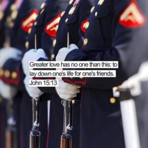 Read more about the article Thank you vets. You’re sacrifice has not gone unnoticed.